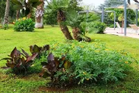 VILLA DELLE LANTANE with Private Pool in a garden of 10,000 m. q.