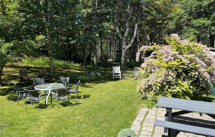 FARMHOUSE newly renovated in heart of Acadia with wild blueberries on 3 acres!