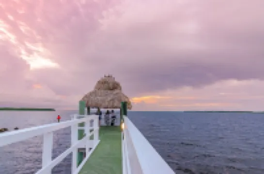 Relaxing Spacious Vacation Home: Amazing Oceanside Pools, Jacuzzi, WiFi, & More