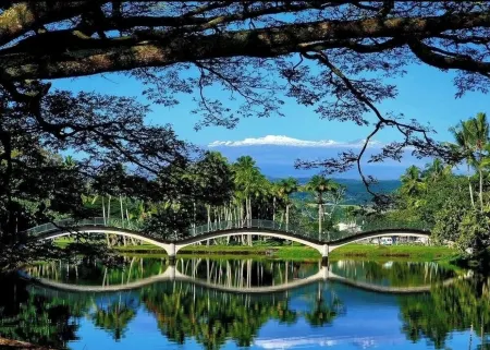 Hilo Lagoon 2 BD Condo-A/C, Pool Отели в г. Хило