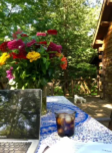 Rare private cabin retreat surrounded by 1700 acres of woods, yet close to town.