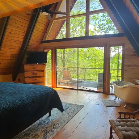 Private mountain cabin surrounded by Nat'l Forest! Visit wineries, hike the AT!