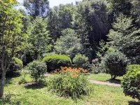 Creek-side cottage in secluded mountain setting, centrally located, easy access. Hotels in Broad River