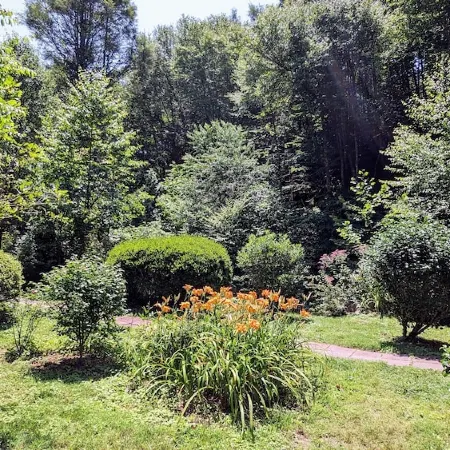 Creek-side cottage in secluded mountain setting, centrally located, easy access.