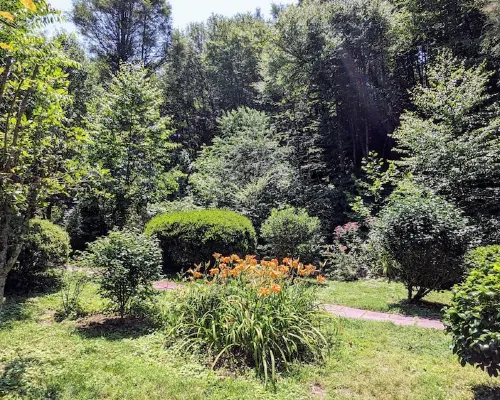 Creek-side cottage in secluded mountain setting, centrally located, easy access. Hotels in Broad River