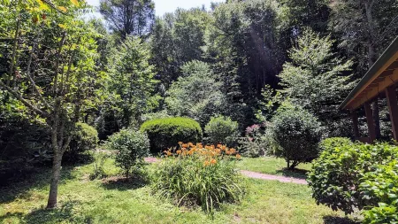 Creek-side cottage in secluded mountain setting, centrally located, easy access.