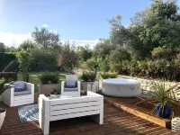 OLIVE TREES OF MAS BLUE BETWEEN NIMES AND MONTPELLIER