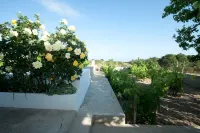 Quiet house located in the highest point of Formentera - 2 ดาว