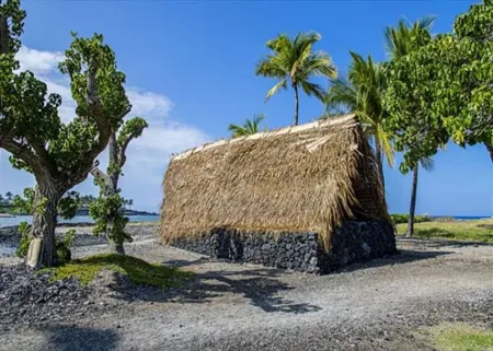 Mauna Lani Terrace D201