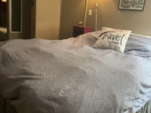 Air Capitol Cottage Leadville -great location-backyard-great for kids & pets Hotels in Leadville