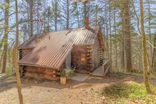Lake Front Cabin - Very Secluded...Serenity lives here!