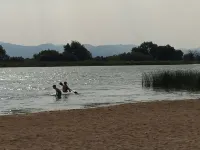 Fully Renovated Old Town Cottage Close to Downtown, City Park, and University