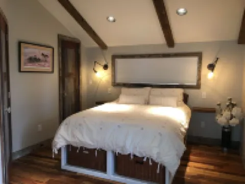 Just Horsin' Around!