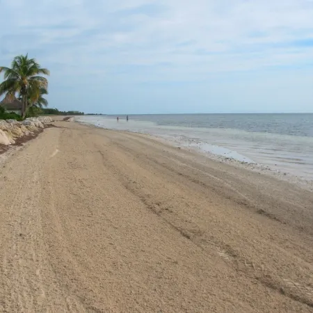BEACHFRONT CONDO on Coco Plum Beach with Heated Pool
