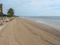 BEACHFRONT CONDO on Coco Plum Beach with Heated Pool