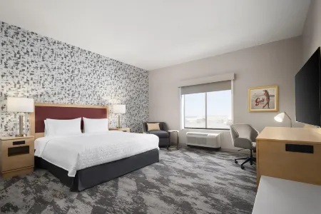 Hampton Inn & Suites by Hilton Amarillo West Отели в г. Поттер