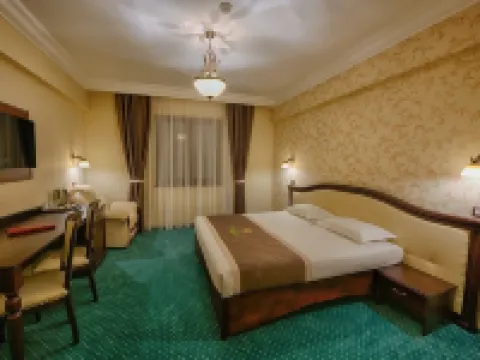 Magus Hotel Hotels in Baia Mare
