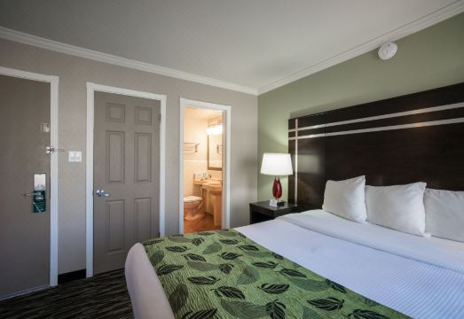 샌프란시스코 카우 할로우 지역의 모텔 카프리 주변 거리 모습