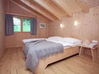 Apartment in Ramsau Near Ski Bus