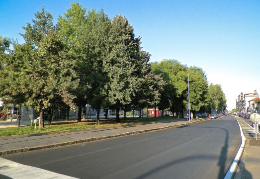 객실 내부 디자인