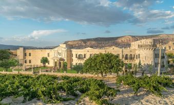 Sobek Stone House Cappadocia