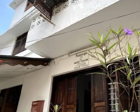 Flamingo Guest House Hotels in Stone Town