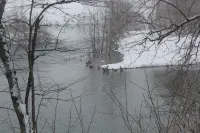 Family Friendly Cozy Cabin Located On The Shenandoah River. Hotels in Page County