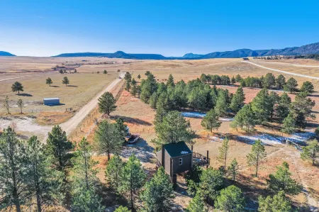 Tree Fort Escape Отели в г. Палмер Лейк