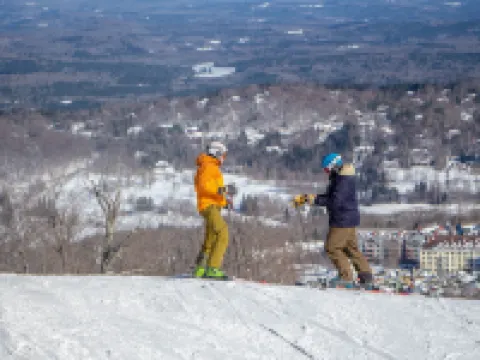 Vantage Point Villas at Stratton Mountain Resort Hotels in Stratton Mountain