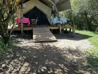 Mara Major Camp Hotels in Serena