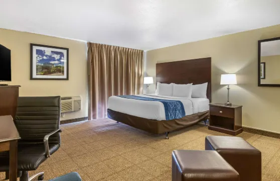 舒適酒店大急流城機場