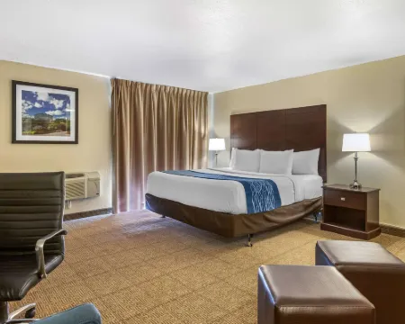 Comfort Inn Grand Rapids Airport Hotels in Grand Rapids