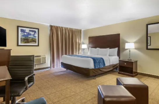 Comfort Inn Grand Rapids Airport Hotels near Calvin College