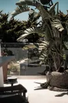 Asty Mykonos Hotel & Spa - World of One Hotel Group - Kæledyr tilladt