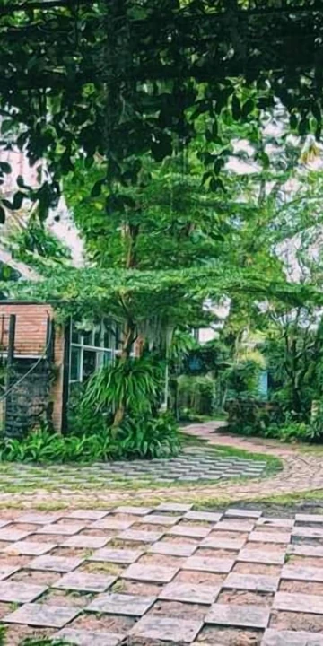 รูปภาพของบ้านขนมปังขิง Gingerbread House