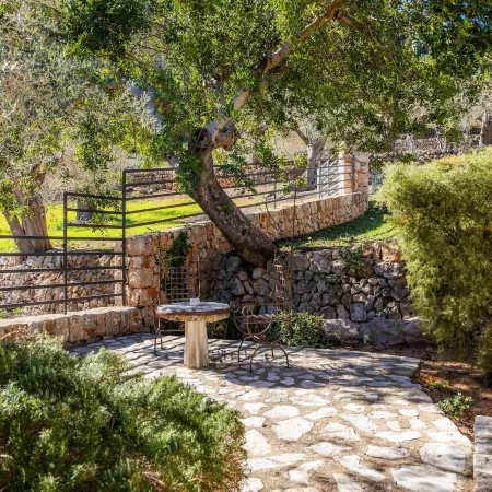 Finca Albellons