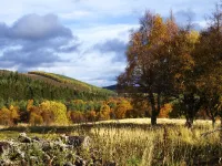 The Smugglers Hostel Hotels in Ballindalloch