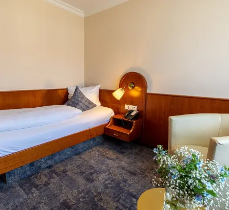 Parkhotel Отели в г. Бад-Вурцах