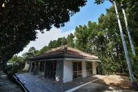 Tida