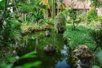 An Nhien Retreat Phu Quoc with Beach Access & Yoga Daily Hotel a Phu Quoc Island