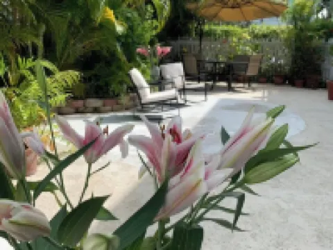 เฮรอนเฮาส์คอร์ท - สำหรับผู้ใหญ่เท่านั้น โรงแรมในคีย์เวสต์