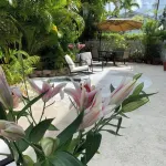 Heron House Court - Adult Only Hotels near Observation tower