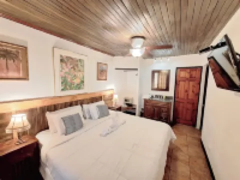 Colours Oasis Resort Adult Only Hotels near Jardines de Rohrmoser Park