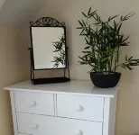 Walkers Court 3 Bedroom Apartment