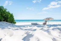 Nueva Vida de Ramiro