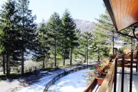 Hotel Orso Bianco - Mountain view