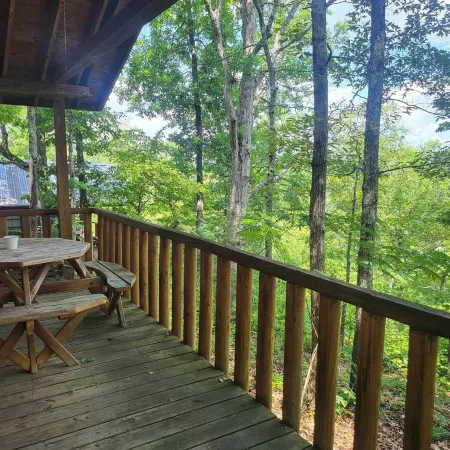 Riverview Cabins