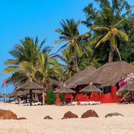 Royal Horizon Baobab