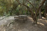 Jordan EcoPark