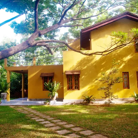 Raintree